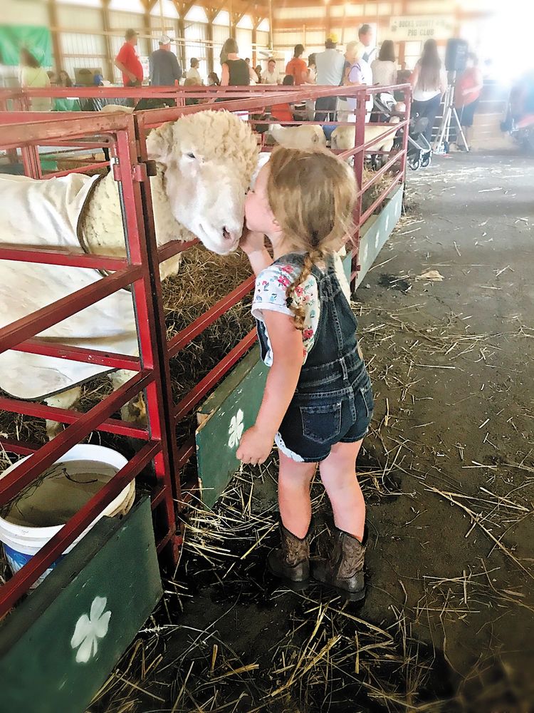 Middletown Grange Fair